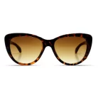 retro-sunglasses-rt 5501a