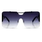 chanel-sunglasses-ch-2216a