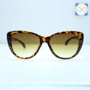 Retro 5501 Sunglasses