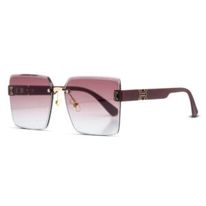 hermes-sunglasses-hm-3102aa