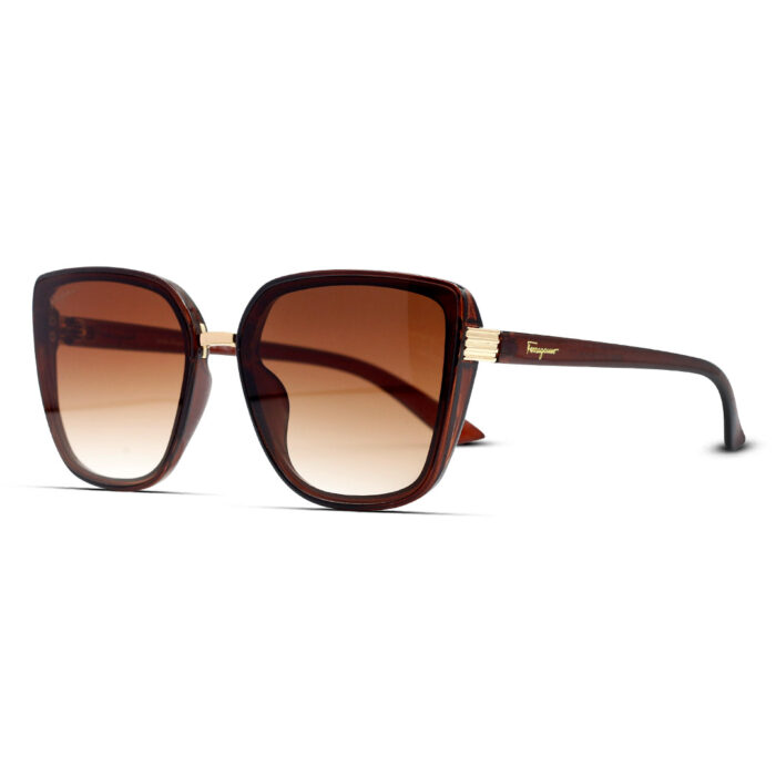 ferragamo-sunglasses-sf-6501bb